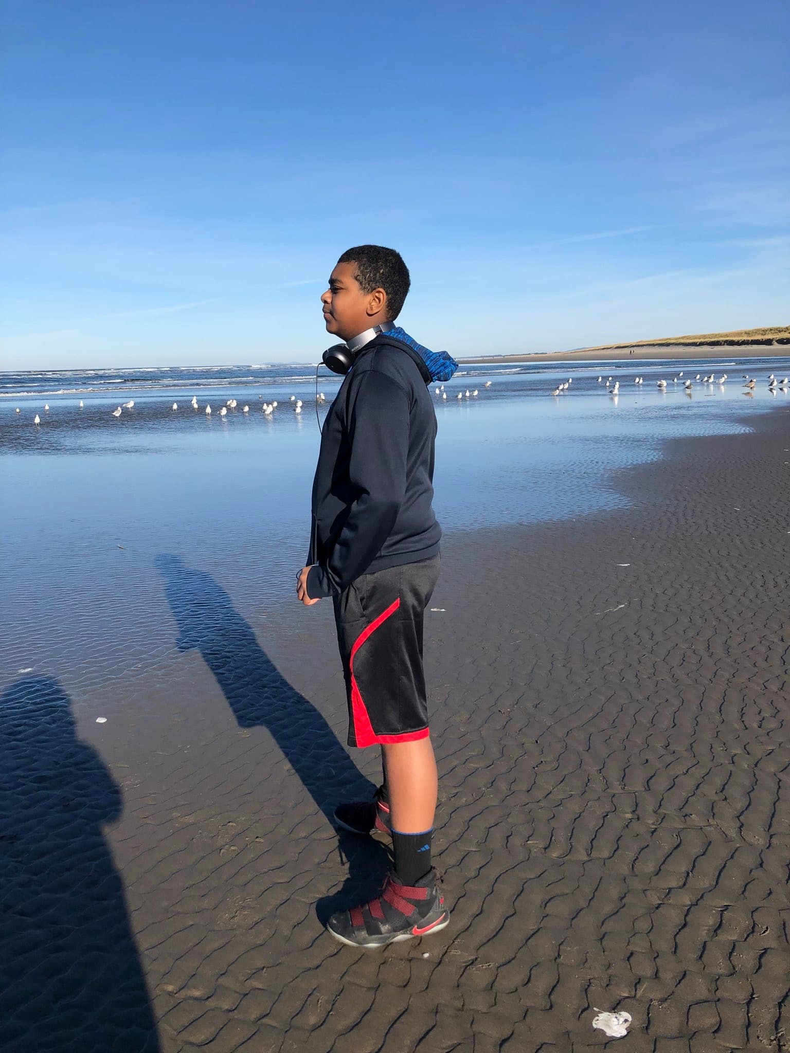 Henos on a beach